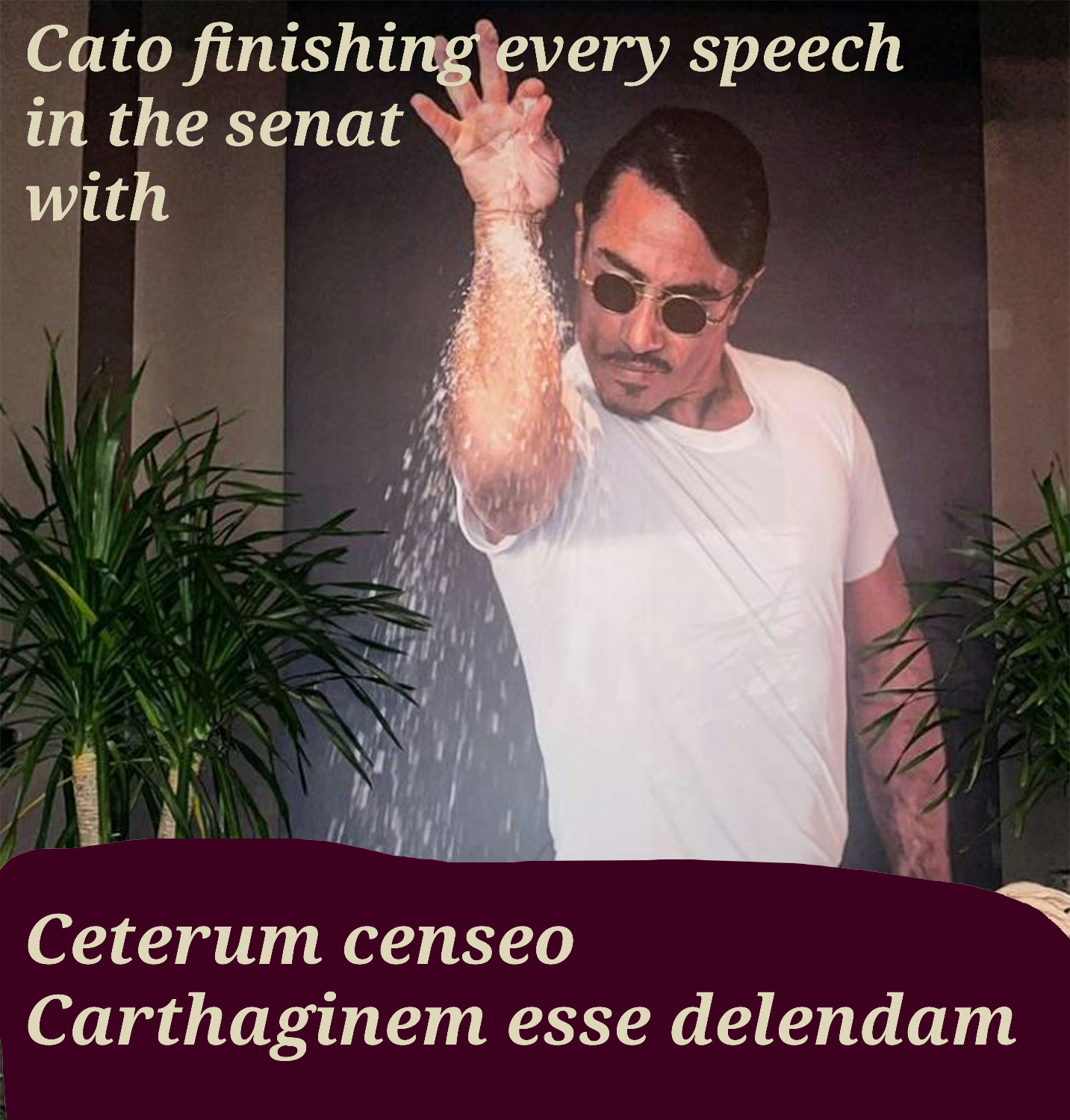 picture of salt bae. Cato finishing every speech in the senat with: Ceterum censeo Carthaginem esse delendam 