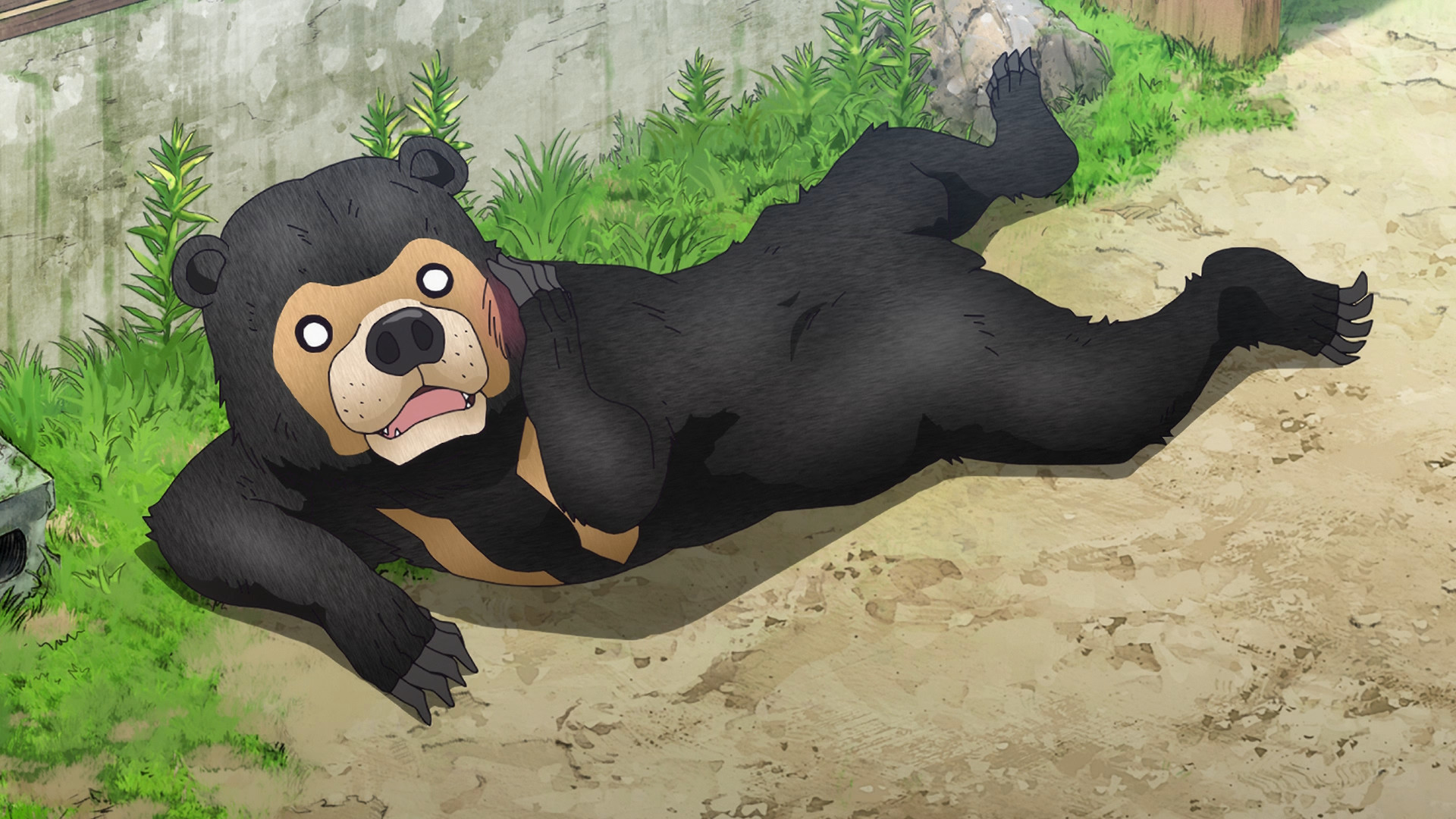 screenshot of a bear from anime