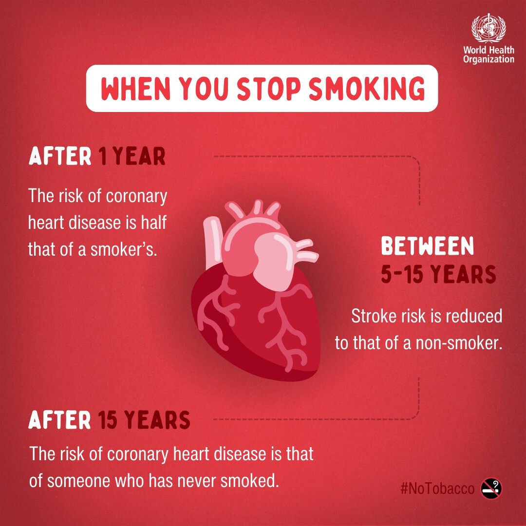An infographic titled “When You Stop Smoking.” It includes three timeframes showing the health benefits of quitting smoking, each with text and a heart illustration:

After 1 year: The risk of coronary heart disease is half that of a smoker’s.

Between 5–15 years: Stroke risk is reduced to that of a non-smoker.

After 15 years: The risk of coronary heart disease is that of someone who has never smoked.
